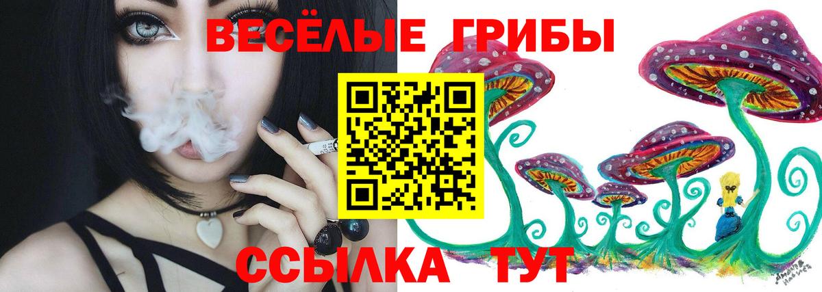 Псилоцибиновые грибы прущие грибы Дедовск