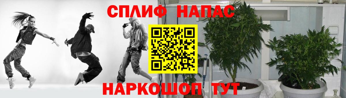 Конопля AK-47 Дедовск